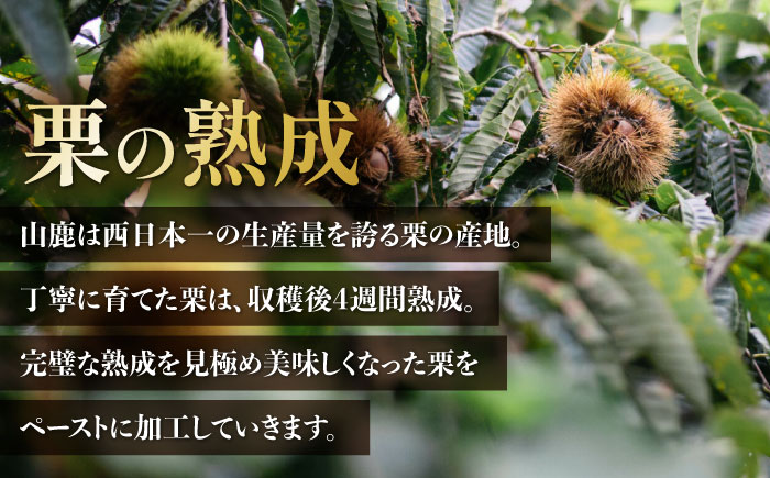 山鹿和栗のコンフィチュール 6個入り 【株式会社パストラル】 [ZAR009]