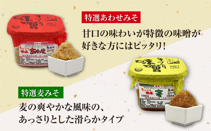 蔵元の味くらべ＜つゆ,味噌4種＞セット（天然かつおだしつゆ360ml×1,特選あわせみそ350g×1,特選麦みそ350g×1,古式みそ350g×1,甘みそ350g×1）【株式会社内田物産 卑弥呼醤院】 [ZAU036]