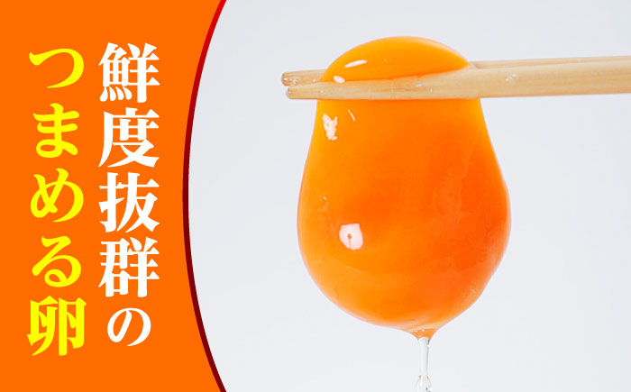 たまご 40個 約2.5kg【マツヤマエッグファーム】 [ZAW004]