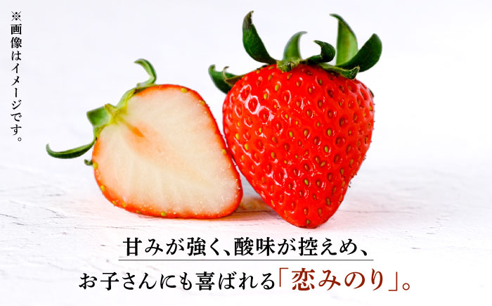【6回定期便】高級 冷凍  いちご 加工用 約1kg（約500g×2袋）【伊藤農園】 恋みのり 冷凍 いちご 冷凍いちご  [ZBB016]