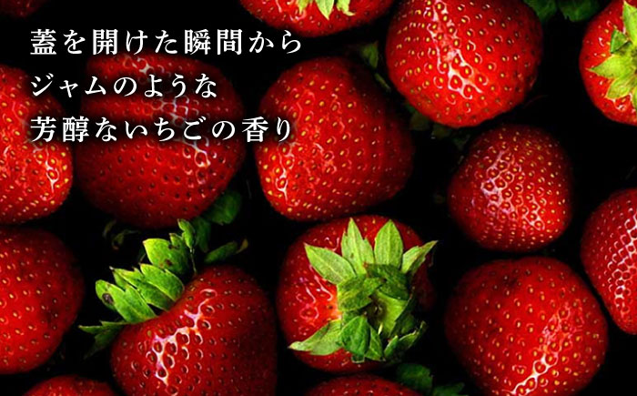 【6回定期便】高級 いちご 100％ワイン Giftfromthe Earth -大地からの贈り物- オーガニック【伊藤農園】 有機 お酒 ワイン オーガニックワイン 酒 [ZBB019]