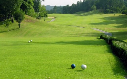 鹿北ゴルフ倶楽部 食事付 平日 プレー券【株式会社 鹿北ゴルフ倶楽部】 [ZBC001]