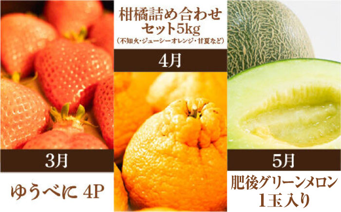 【先行予約】【全10回定期便】 プロが選ぶ！ 旬 の 果物 10ヶ月 定期便【くまふる】 フルーツ定期便 果物 くだもの 果物定期便  [ZBG005]