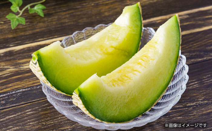 【先行予約】肥後グリーン 1玉【くまふる】 [ZBG022]