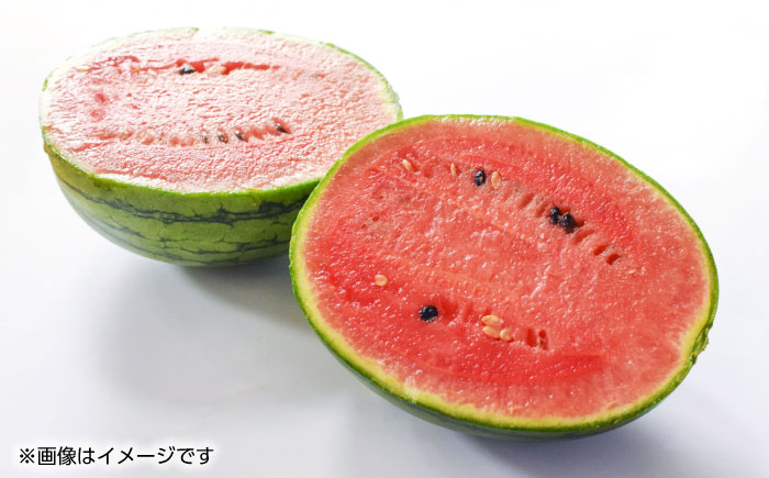 【先行予約】小玉 スイカ  2玉入り【くまふる】 [ZBG023]