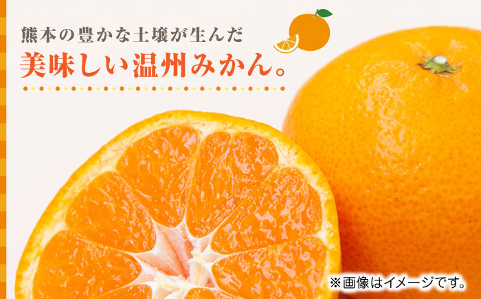 【先行予約】温州みかん約5kg　2S～2Lサイズ　【くまふる】 [ZBG051]