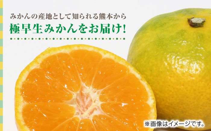 【先行予約】極早生みかん 約7kg　2S～2Lサイズ　【くまふる】 [ZBG055]