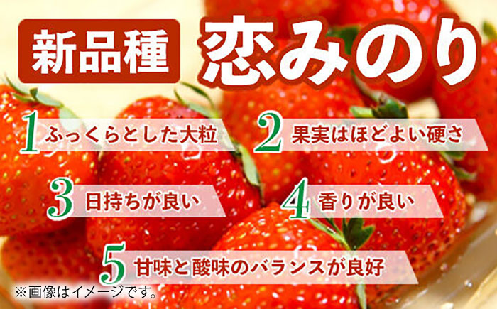 【先行予約】恋みのり 約1kg【くまふる】 [ZBG062]