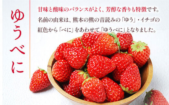 【先行予約】 ゆうべに・恋みのり 食べ比べセット 約1kg【くまふる】 [ZBG064]