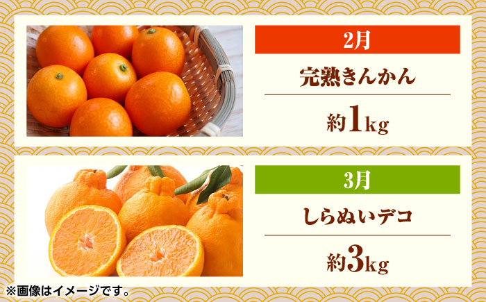 フルーツ6ヶ月定期便　【2月～7月】　【くまふる】 [ZBG077]