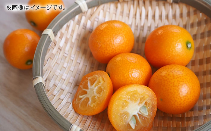 【先行予約】完熟 キンカン 約1kg 【くまふる】 [ZBG079]