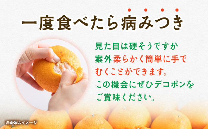 ハウスデコポン　約2kg 【くまふる】 [ZBG081]