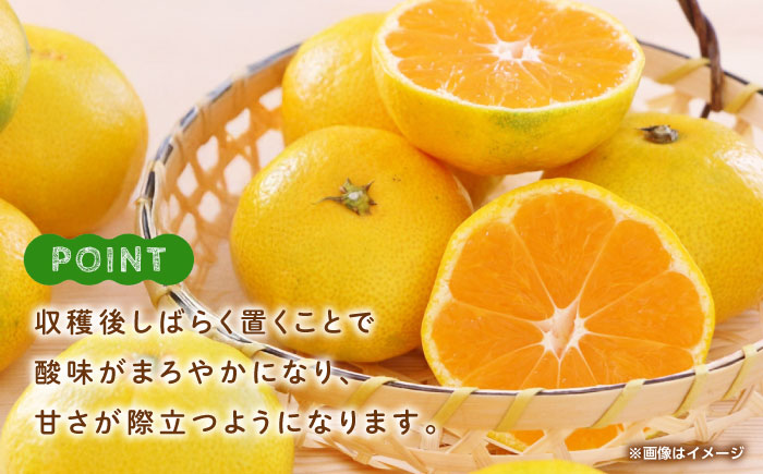 早生みかん　約4.5kg 【くまふる】 [ZBG082]