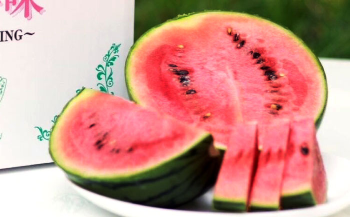 【先行予約】【初夏に実った贈り物】 小玉 スイカ 約4～4.5kg以上【なかむら農園】 [ZBH004]