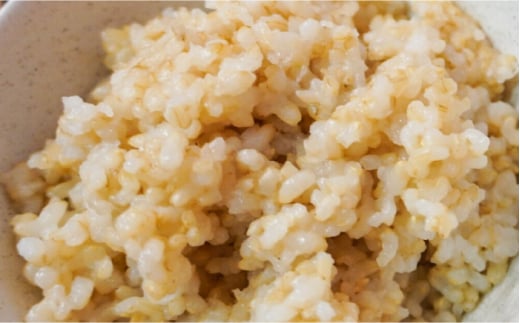 〈令和7年度新米〉 【新米先行予約】菊鹿の米 アイガモ農法米 玄米 2kg×2袋【有限会社 あそしな米穀】 新米 令和7年産 [ZBI001]