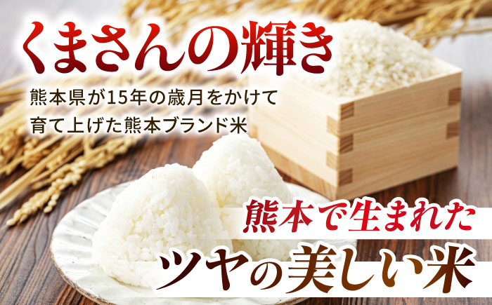〈令和7年度産米〉熊本県産 くまさんの輝き 白米 10kg (5kg×2) 米 お米 ご飯 こめ【有限会社 あそしな米穀】 [ZBI035]