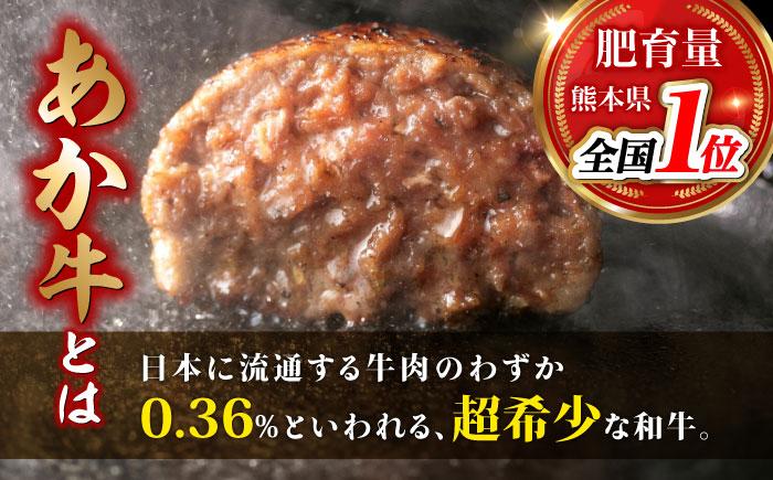 【全6回定期便】あか牛100％ ハンバーグ ステーキ 150g×20パック 計3.0kg【株式会社 利他フーズ】 [ZBK033]