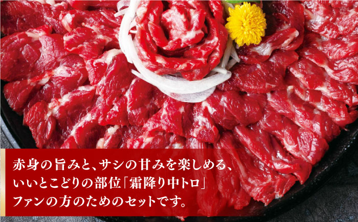 【熊本肥育】熊本ならでは！霜降り馬刺しをたっぷり楽しむセット 計500g 【株式会社 利他フーズ】 [ZBK034]