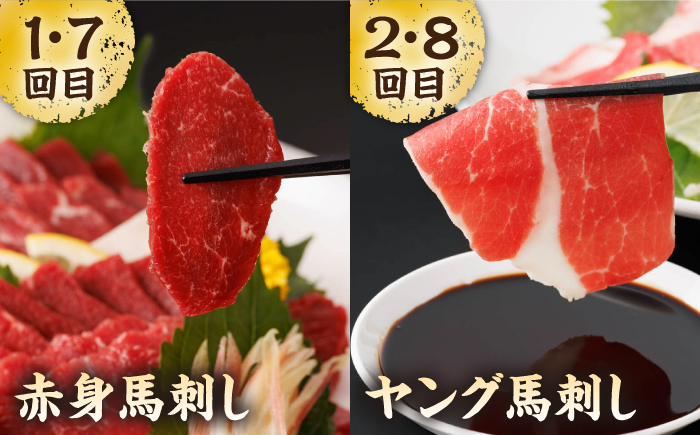 【12回定期便】毎月違う部位が届く！【馬刺しの郷 民守】 肉 馬肉 馬 熊本県 特産品 食べ比べ 赤身馬刺し  [ZBL020]