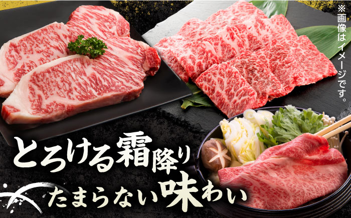 【3回定期便】くまもと黒毛和牛 贅沢定期便（ステーキ すき焼き しゃぶしゃぶ 焼肉）【馬刺しの郷 民守】 和牛 お肉 肉 ステーキ サーロイン  [ZBL035]