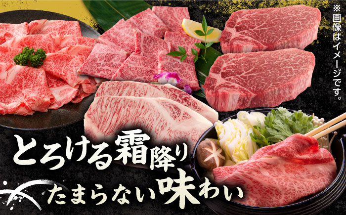 【12回定期便】くまもと黒毛和牛 贅沢定期便（ステーキ すき焼き しゃぶしゃぶ 焼肉）【馬刺しの郷 民守】 すき焼き しゃぶしゃぶ スライス 焼肉 バラ 肩ロース  [ZBL037]