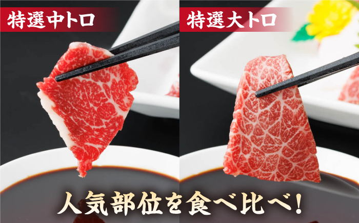 【6回定期便】特選霜降り馬刺し 中トロ大トロ2種食べ比べセット 計200g（各1pc）＋タレ小【馬刺しの郷 民守】  食べ比べ 2種 セット 馬刺しセット 馬刺し  [ZBL078]