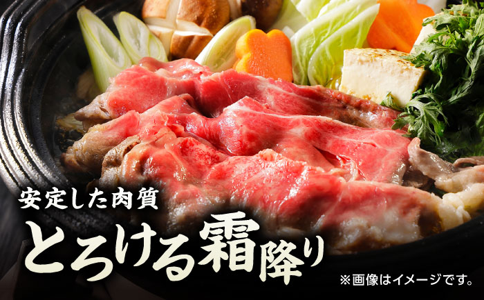 【6回定期便】くまもと黒毛和牛 牛ローススライス 牛すき・しゃぶしゃぶ用 500g（250g×2pc）【馬刺しの郷 民守】 スライス すき焼き しゃぶしゃぶ 小分け  [ZBL088]