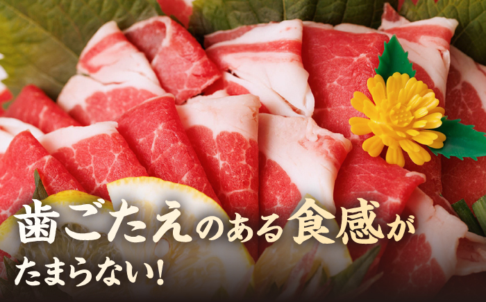 【12回定期便】ヤング馬刺し 計300g（3pc）＋タレ小【馬刺しの郷 民守】  肉 馬肉 馬 熊本県 特産品 特産 馬刺し  [ZBL102]