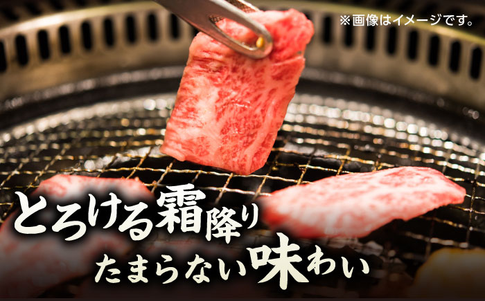 【12回定期便】くまもと黒毛和牛 焼肉用 肩ロース 1000g（250g×4pc）【馬刺しの郷 民守】熊本県産 九州産 和牛 お肉 肉 バラ 黒毛和牛  [ZBL121]