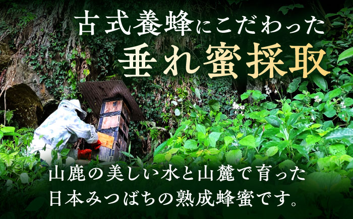 日本みつばち菊鹿・山鹿 計2本セット 【山麓はっち】 [ZBM005]