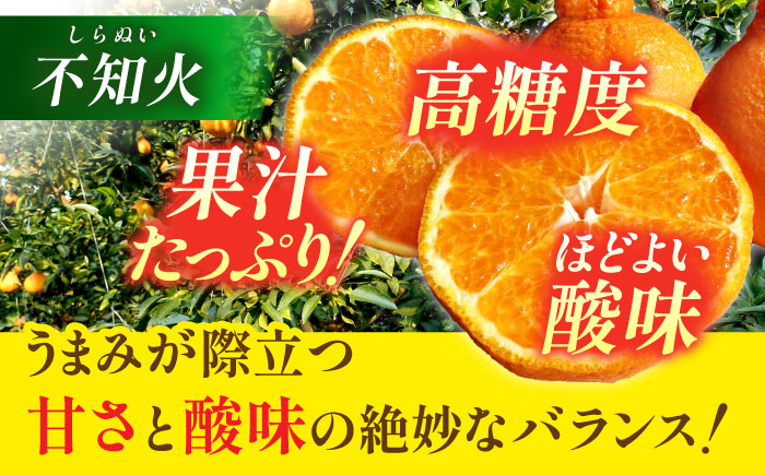 【2026年3月下旬から発送】柑橘の王様 ハウス栽培 不知火 デコポン 約3kg（7～12玉）みかん ミカン 果物 くだもの フルーツ かんきつ 熊本県産 秀 しらぬい しらぬひ  【小春農園】 [ZBN003]