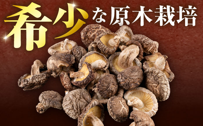 【全3回定期便】  原木 栽培 干し 椎茸 どんこ 小粒 約500g(100g×5袋) 【小春農園】 [ZBN006]