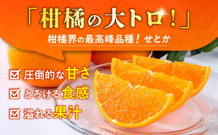 【2026年2月下旬から発送】【訳あり】せとか みかん 家庭用 約2.5kg 果物 フルーツ 【小春農園】 [ZBN007]