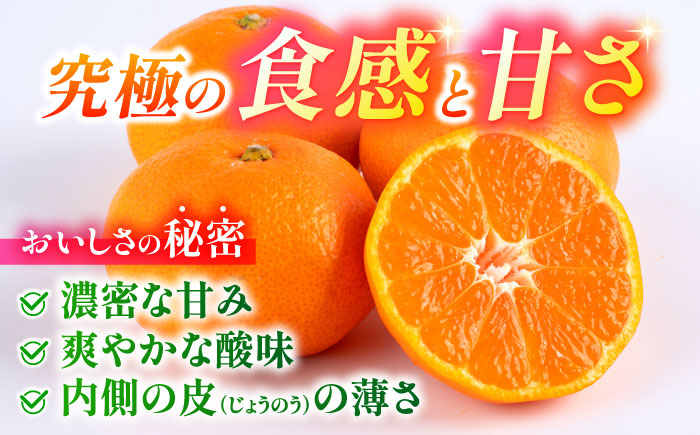 【先行予約】 旨み凝縮！ 飛龍台木 白川 温州 みかん 2Lサイズ 約5kg 山鹿市産　【小春農園】 [ZBN010]