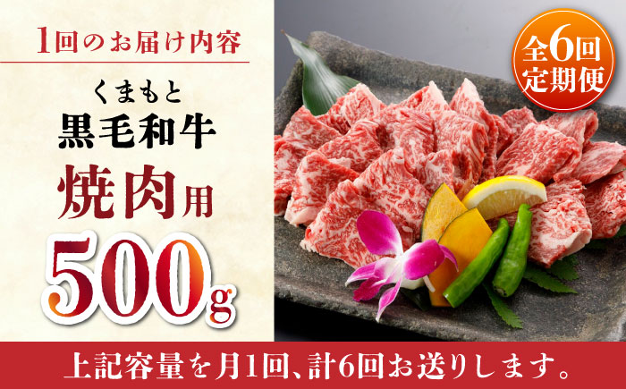 【全6回定期便】くまもと 黒毛和牛 焼肉用 500ｇ【山鹿市（桜屋）】 黒毛和牛 焼き肉用 焼肉 焼き肉 熊本県産 くまもと  [ZBO041]