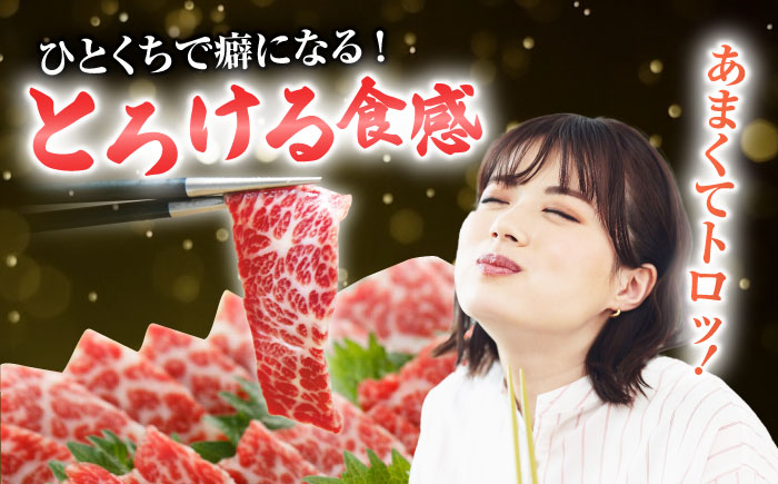 厳選霜降り馬刺し（大トロ）200g【山鹿市（桜屋）】 [ZBO053]