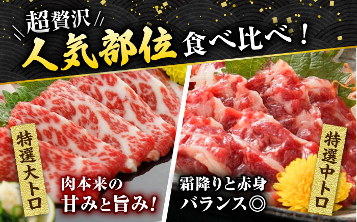 【6回定期便】特選霜降り馬刺し 大トロ中トロ2種食べ比べセット　計600ｇ（各300g）【山鹿市（桜屋）】 [ZBO061]