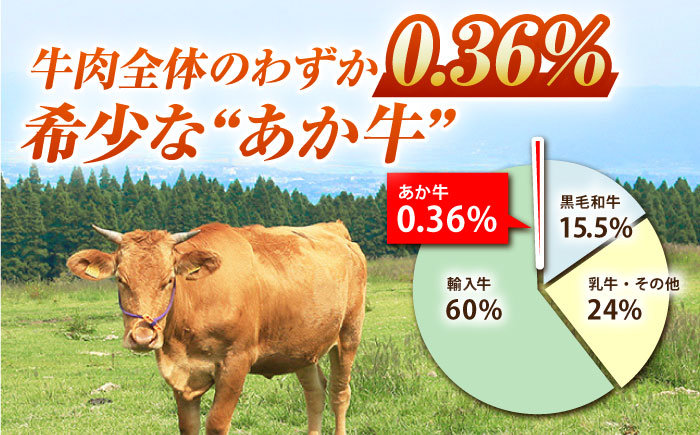 【6回定期便】GI認証 くまもとあか牛 焼肉用 約500ｇ【山鹿市（桜屋）】 [ZBO063]