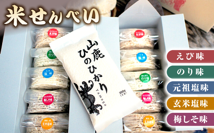 【12回定期便】【こだわり抜いた厳選素材】米せんべい（えび味、のり味、元祖塩味、玄米塩味、梅しそ味） & ヒノヒカリ のセット 【せんべい工房】 [ZBQ005]