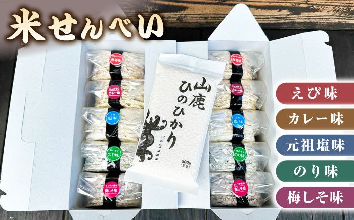 【6回定期便】【おつまみにも♪】米せんべい（えび味、カレー味、元祖塩味、のり味、梅しそ味）& ヒノヒカリ【せんべい工房】 [ZBQ015]