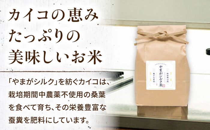 やまがシルク米 1kg×5袋【株式会社 あつまるホールディングス NSP山鹿工場】 [ZBR039]