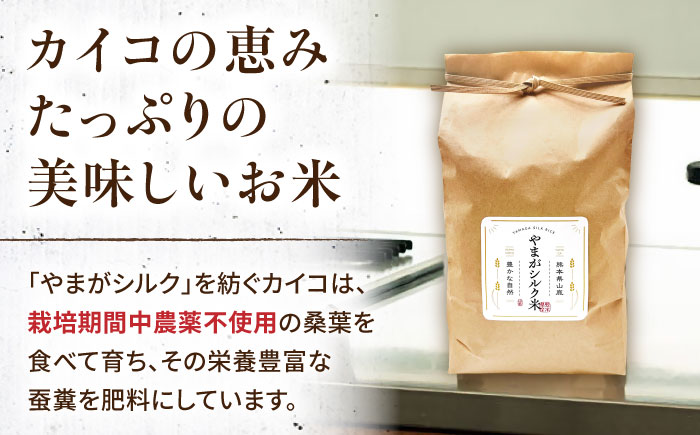 やまがシルク米 5kg【株式会社 あつまるホールディングス NSP山鹿工場】 [ZBR040]