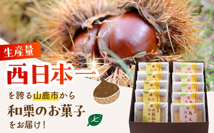 【3回定期便】カステラセット 山鹿和栗 & あんず 計10個 【株式会社あんず】 [ZBT006]