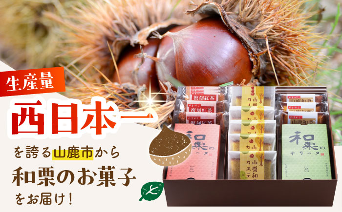 【12回定期便】和栗特選菓子セット 【株式会社あんず】 [ZBT011]