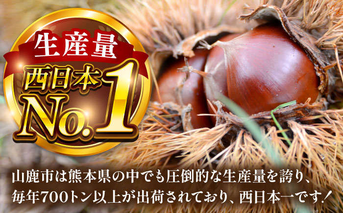 むき栗 約2kg（約1kg×2袋） 【株式会社あんず】 [ZBT015]