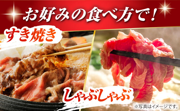 くまもとあか牛 こま切れ 計600g（300g×2）【有限会社スイートサプライなかぞの】 [ZBV051]