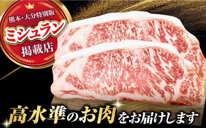 くまもとあか牛 サーロイン ステーキ 約400g(約200g×2)【有限会社スイートサプライなかぞの】 [ZBV053]