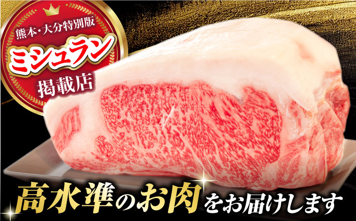 くまもとあか牛 サーロイン ステーキ ブロック肉 約1kg【有限会社スイートサプライなかぞの】 [ZBV054]