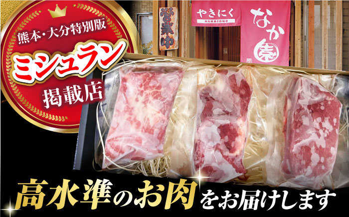 【6回定期便】熊本 馬刺し「なか園」赤身馬刺し 約300ｇ【有限会社スイートサプライなかぞの】 [ZBV072]
