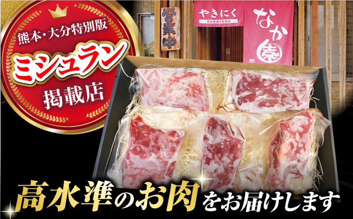 【6回定期便】熊本 馬刺し「なか園」赤身馬刺し 約500ｇ【有限会社スイートサプライなかぞの】 [ZBV078]